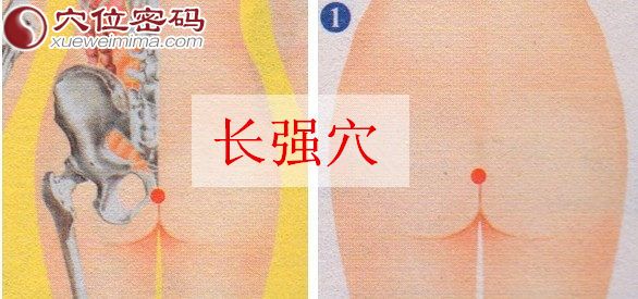 長強(qiáng)穴的準(zhǔn)確位置圖