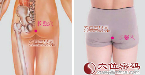 長強(qiáng)穴位位置圖