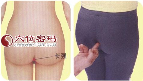 長強(qiáng)穴的位置圖