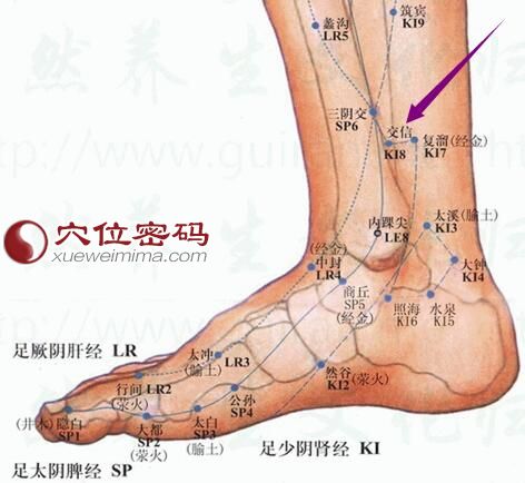 交信穴位圖