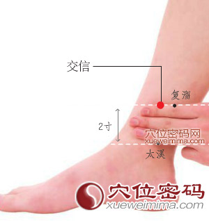 交信穴位位置圖