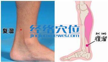 復(fù)溜穴位位置圖