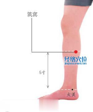 筑賓穴位位置圖