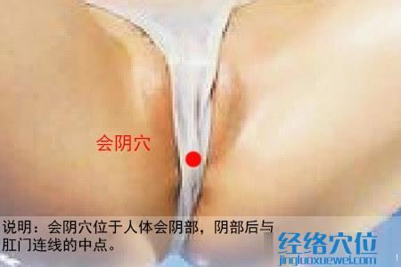 會陰穴位位置圖