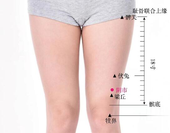 陰市的準(zhǔn)確位置圖及功效視頻位位置圖