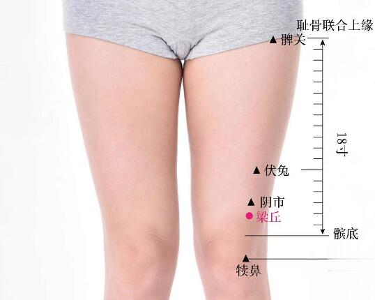 梁丘的準(zhǔn)確位置圖及功效視頻位位置圖