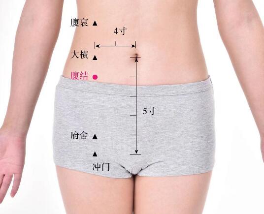 腹結(jié)的準(zhǔn)確位置圖及功效視頻位位置圖
