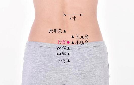 次髎的準確位置圖及功效視頻位位置圖