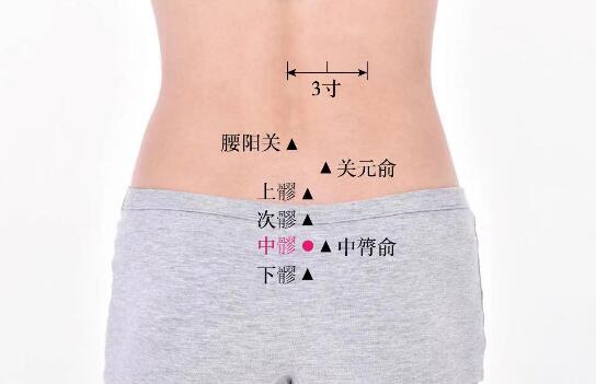 中髎的準確位置圖及功效視頻位位置圖