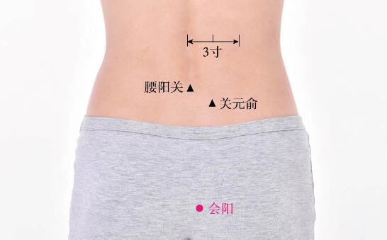 會(huì)陽的準(zhǔn)確位置圖及功效視頻位位置圖