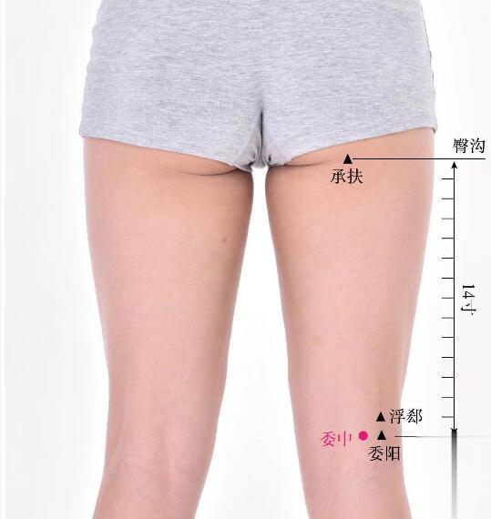 委中的準(zhǔn)確位置圖及功效視頻位位置圖