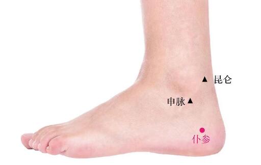 仆參的準(zhǔn)確位置圖及功效視頻位位置圖