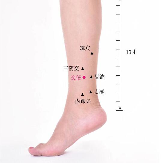 交信的準(zhǔn)確位置圖及功效視頻位位置圖