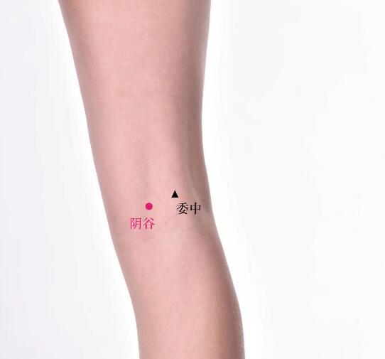 陰谷的準確位置圖及功效視頻位位置圖