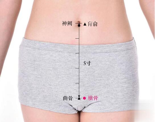 橫骨的準(zhǔn)確位置圖及功效視頻位位置圖