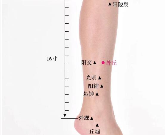 外丘的準(zhǔn)確位置圖及功效視頻位位置圖