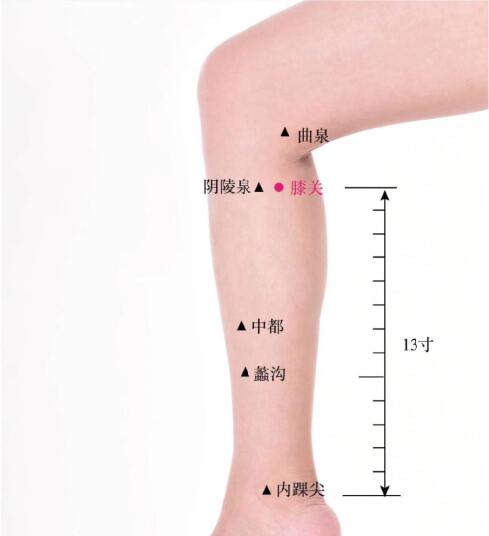 膝關(guān)的準確位置圖及功效視頻位位置圖