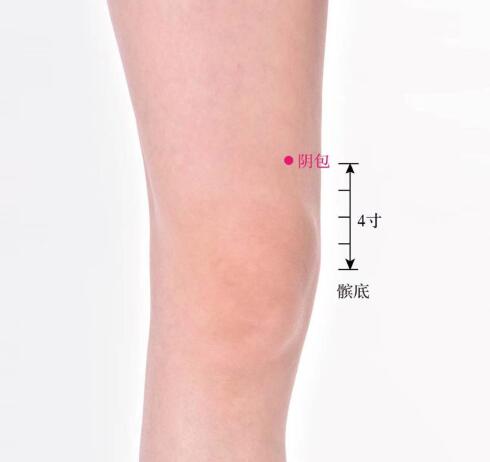 陰包的準(zhǔn)確位置圖及功效視頻位位置圖