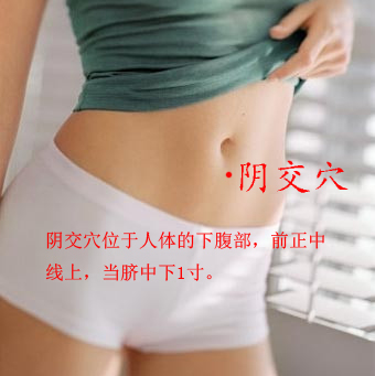 陰交穴位位置圖