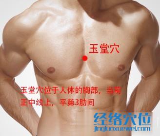 玉堂穴位位置圖