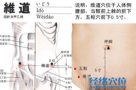 維道穴的位置圖