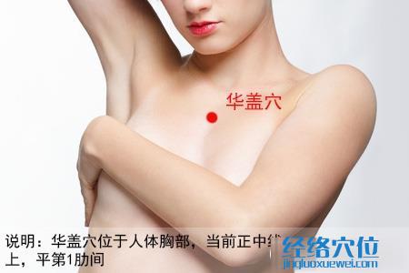 華蓋穴位位置圖