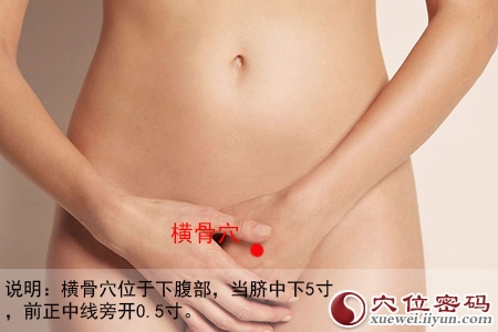 橫骨穴位位置圖