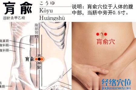 肓俞穴位位置圖