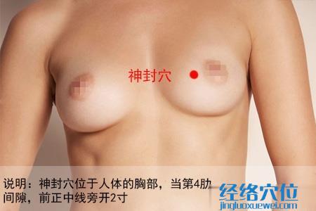 神封穴位位置圖