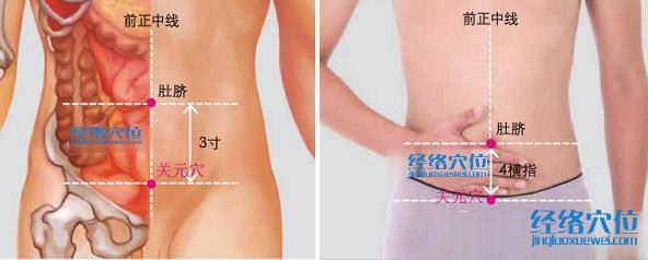 關(guān)元穴位位置圖
