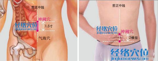 神闕穴位位置圖