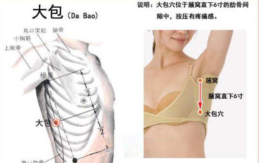 大包穴位位置圖