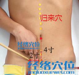 歸來穴的位置圖