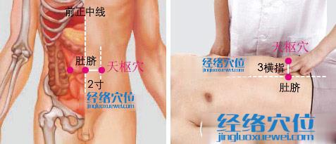 天樞穴位位置圖
