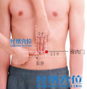 滑肉門穴位位置圖