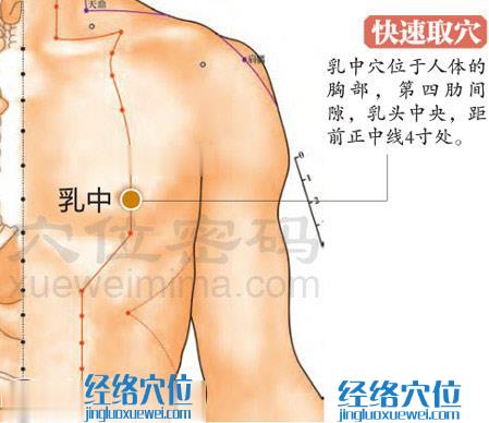 圖解乳中穴