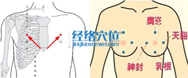膺窗穴位圖