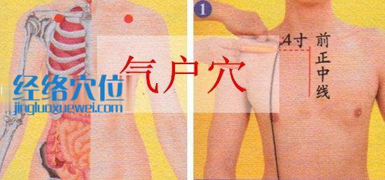 氣戶穴的準(zhǔn)確位置圖