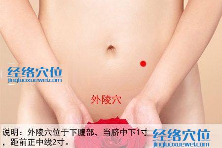 外陵穴位位置圖
