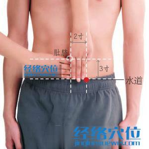 水道穴位位置圖