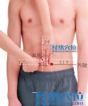 外陵穴位位置圖