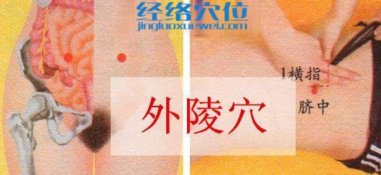 外陵穴位圖