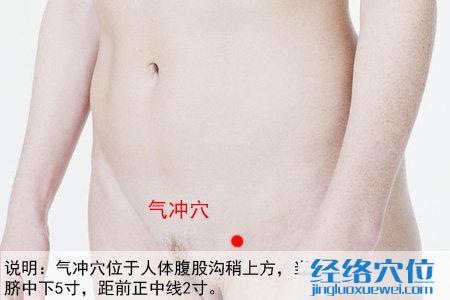 氣沖穴的位置圖