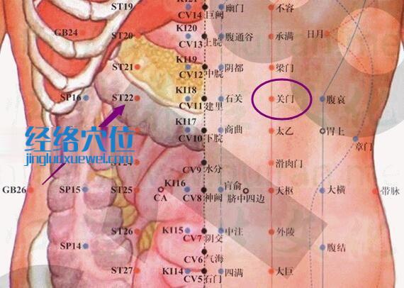 關(guān)門(mén)穴的準(zhǔn)確位置及解剖分析圖