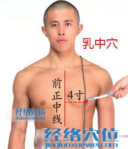 乳中穴的準確位置圖