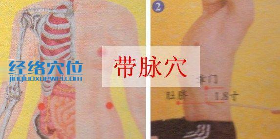 帶脈穴的取穴方法示范圖