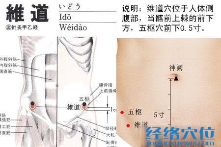 維道穴的位置圖