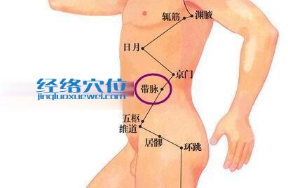 帶脈穴的位置圖