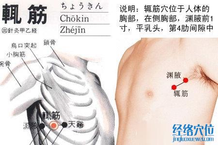 輒筋穴位圖