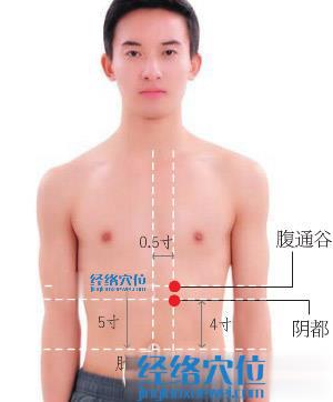 腹通谷穴位位置圖